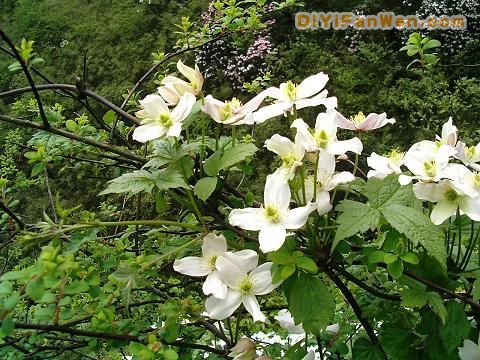 鎣華山風景名勝區圖片