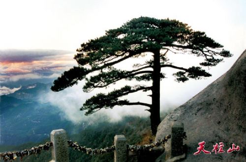 天柱山圖片