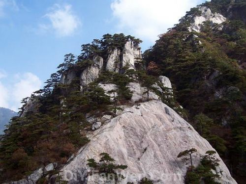 湖北薄刀峰圖片
