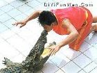 洋信鱷魚園