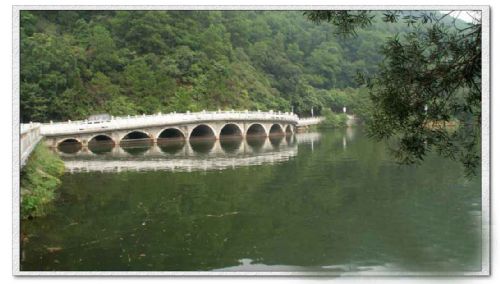 深圳仙湖植物園圖片