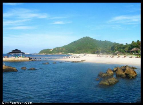 海南三亞珊瑚礁圖片