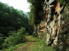 四面山風景名勝區
