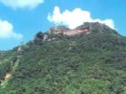 仙公山