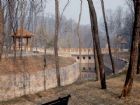 泉山國家森林公園