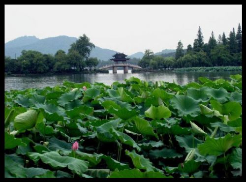 湖南西湖公園圖片