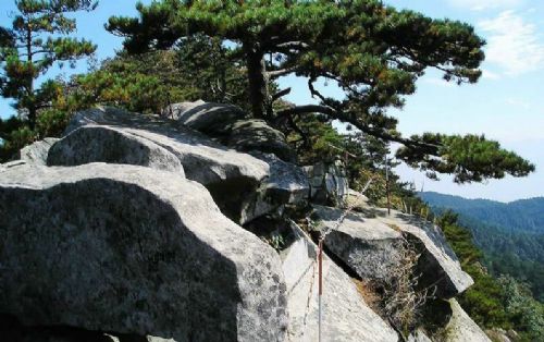湖北薄刀峰圖片
