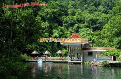 廣西大桂山國家森林公園圖片