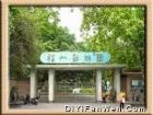 動物園、熊貓世界