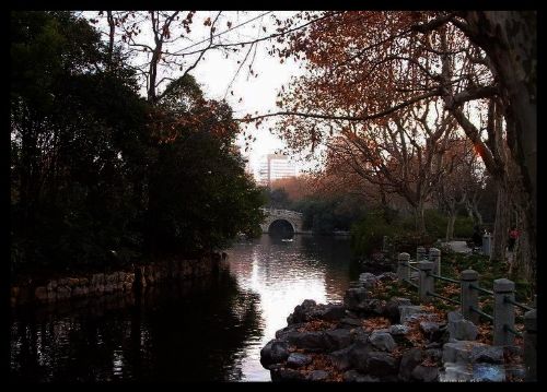 上海魯迅公園圖片
