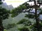安徽清涼峰自然保護區