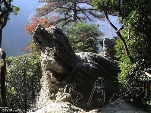 明月山國家森林公園圖片