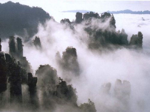 天子山風情圖片