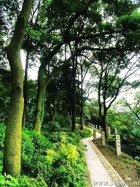 江蘇狼山圖片