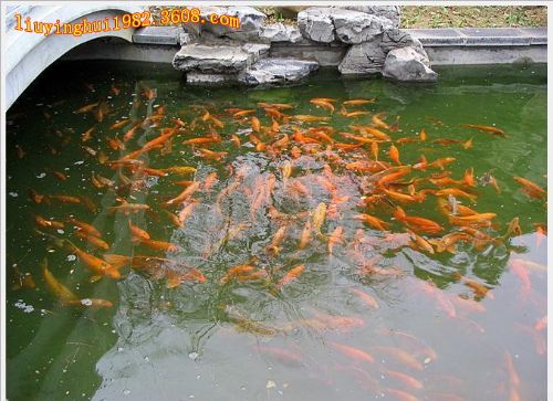 廣西柳侯公園圖片
