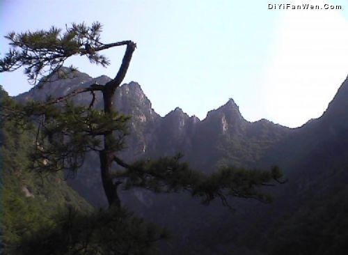 龍峪灣國家森林公園圖片