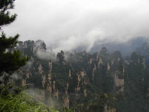 天子山風情圖片