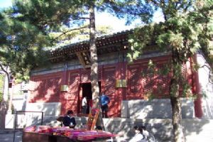 北京潭柘寺組圖（3）圖片