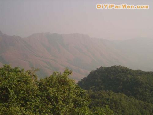 王崗山圖片