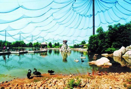 合肥野生動物園圖片