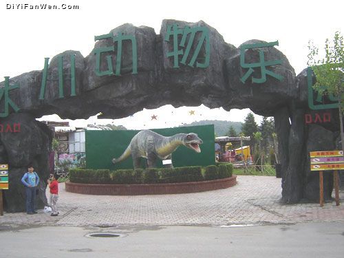 冰川動物樂園圖片