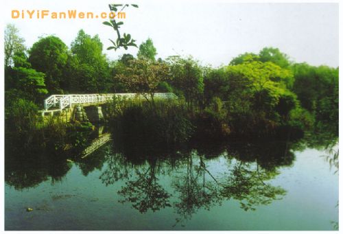 花溪公園圖片