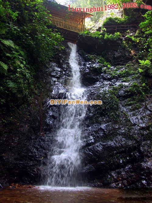 廣西大桂山國家森林公園圖片