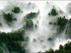井岡山