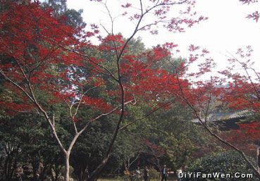 棲霞山圖片