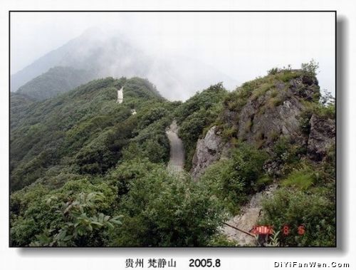 梵淨山圖片