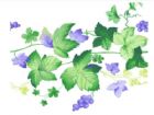 黑板報花邊：藍色花邊
