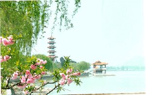雲龍湖圖片