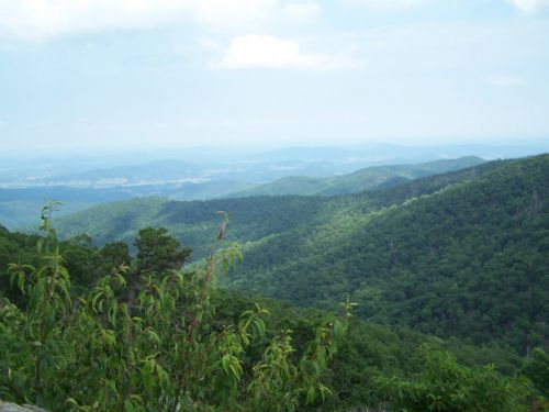 ShenandoahNationalPark,又名雪蘭多國家公園圖片