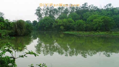 南寧良鳳江國家森林公園圖片