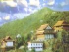 新洲