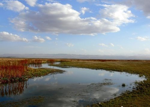 巴音布魯克草原之天鵝湖圖片