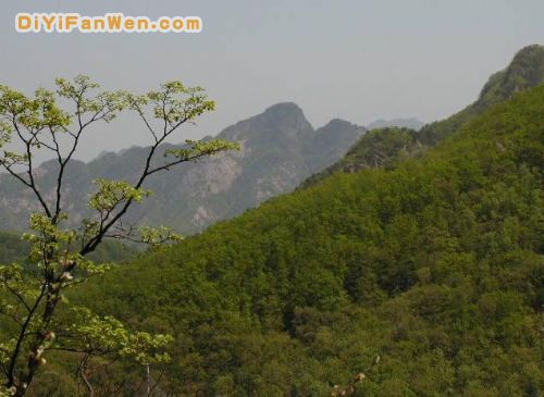 鳳凰山圖片