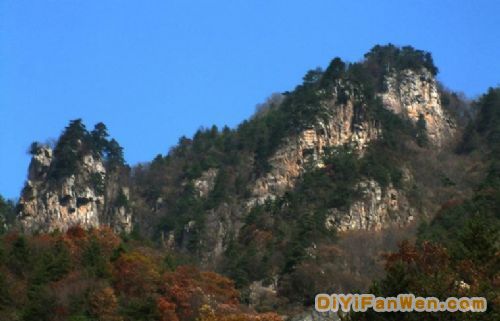 河南玉皇尖森林公園圖片