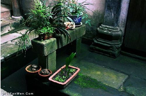 程氏三宅圖片