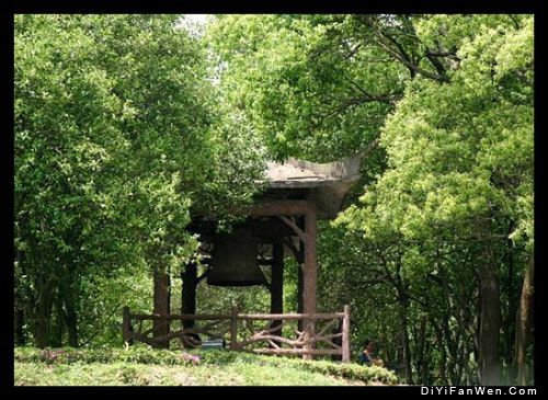 湖南君山圖片