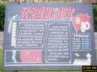 慶祝建團80周年黑板報