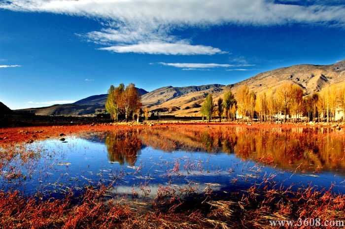 香格里拉圖片