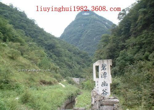 金佛山碧潭幽谷圖片