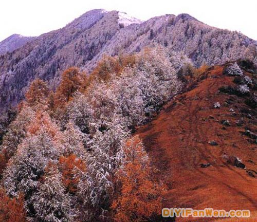 四川四姑娘山圖片