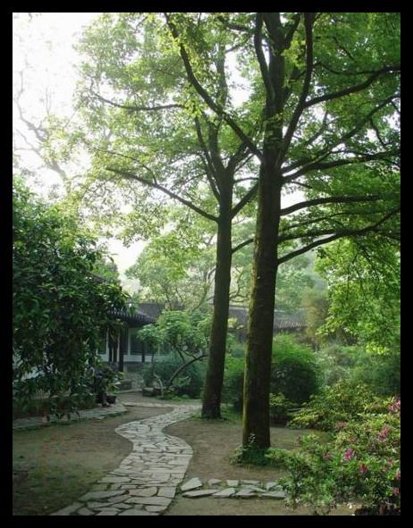 湖南嶽麓山圖片