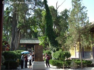 伏羲廟圖片