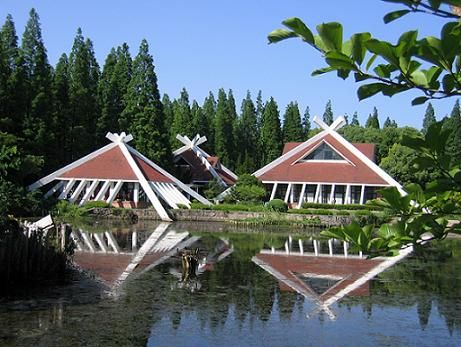 東平國家森林公園圖片