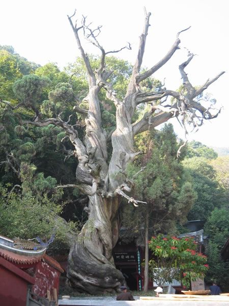 四川瀘山圖片