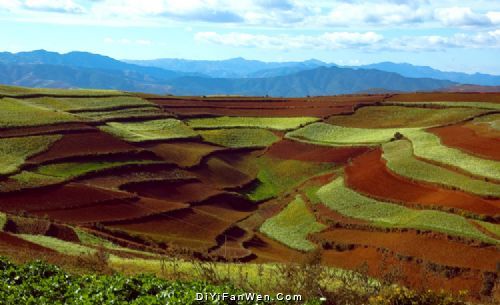 東川紅土地圖片