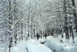 平崗積雪圖片